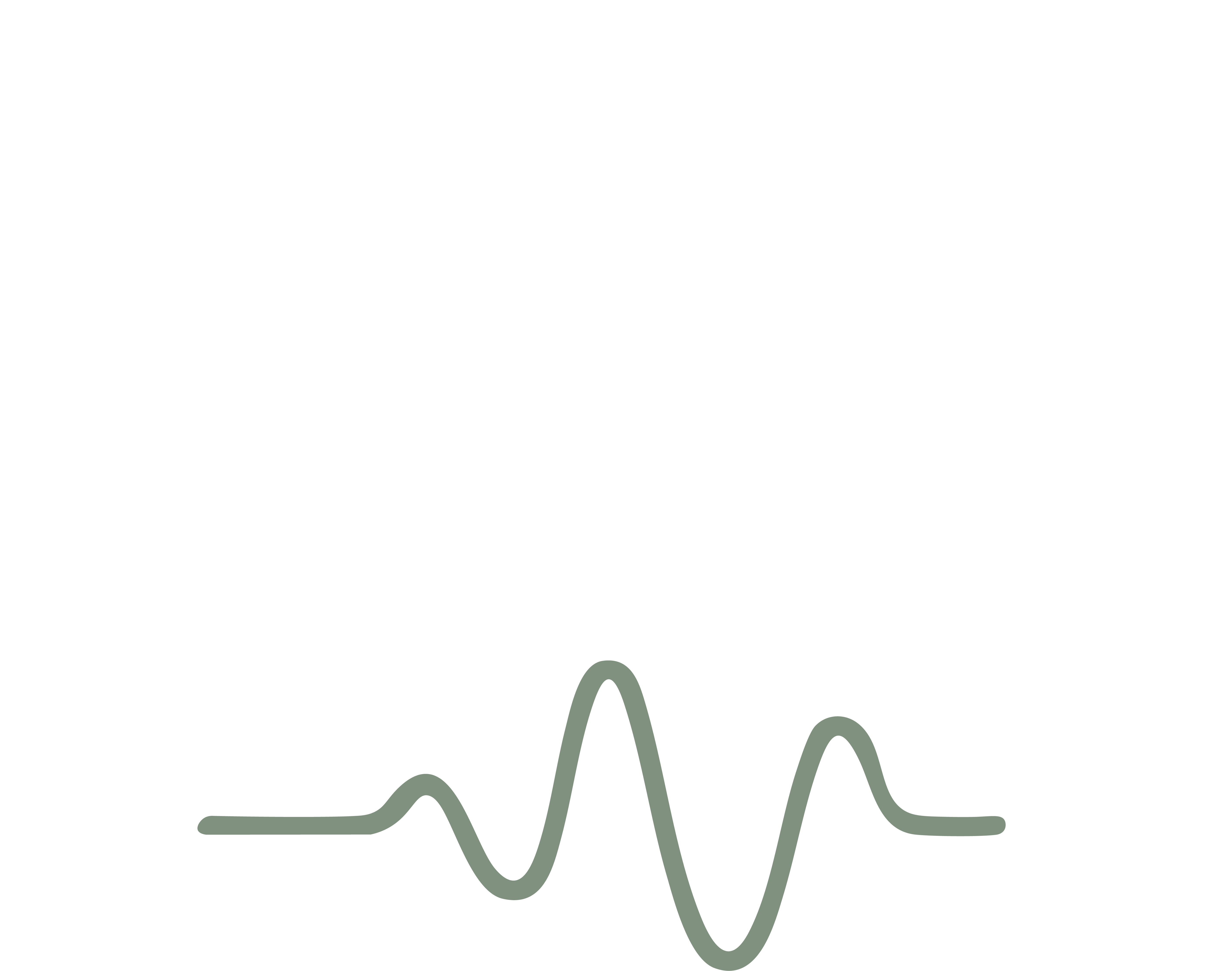 LatencyFix logo